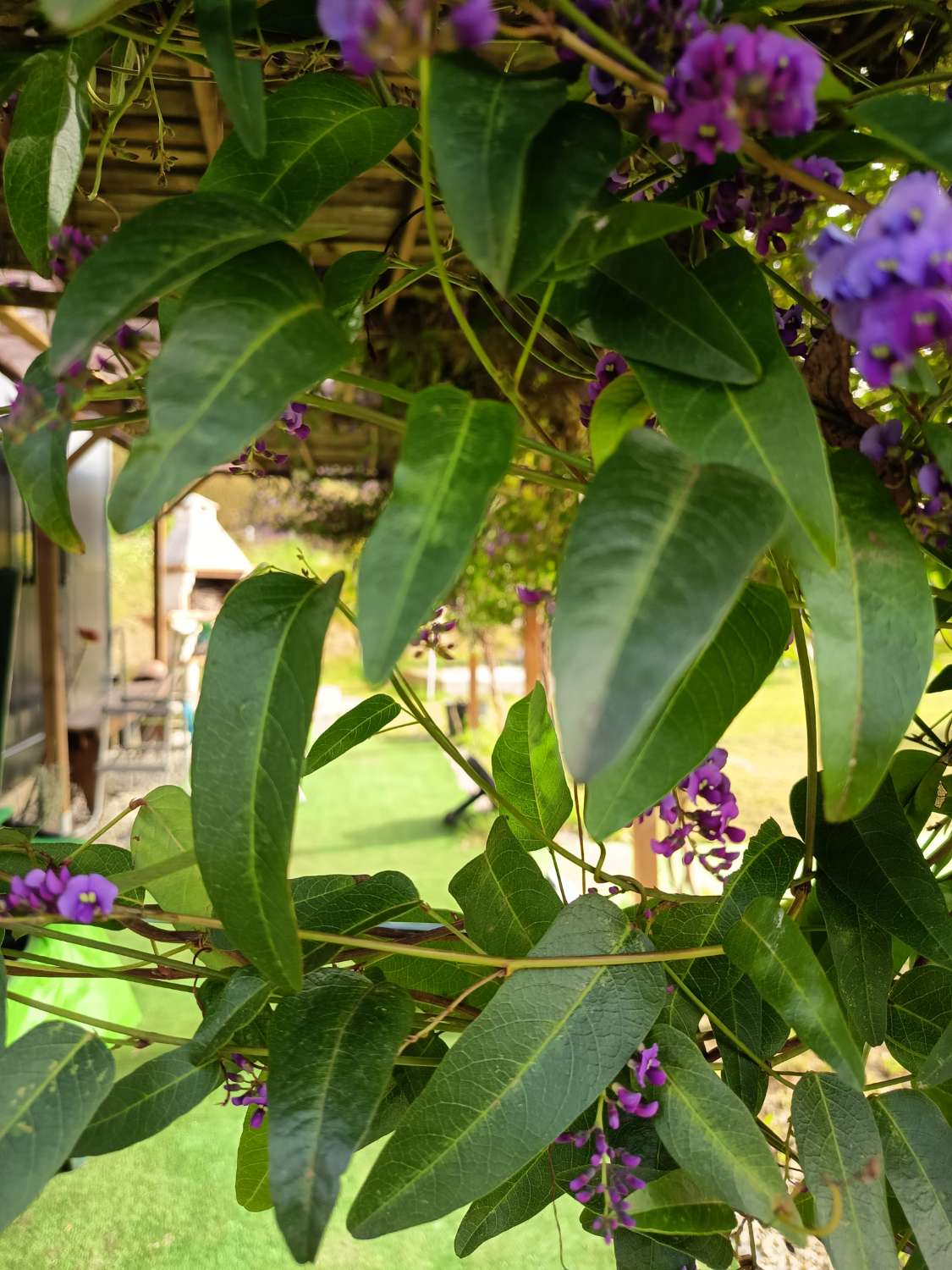 Building Site salgai in Pontedeume