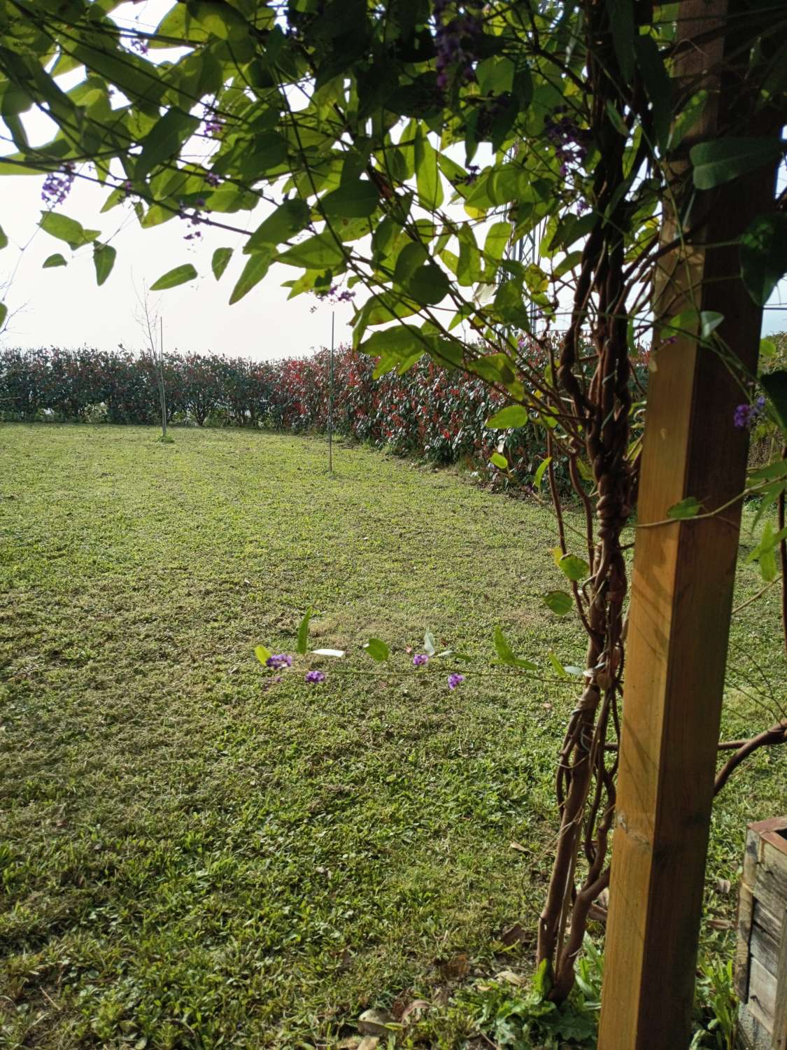 Building Site salgai in Pontedeume