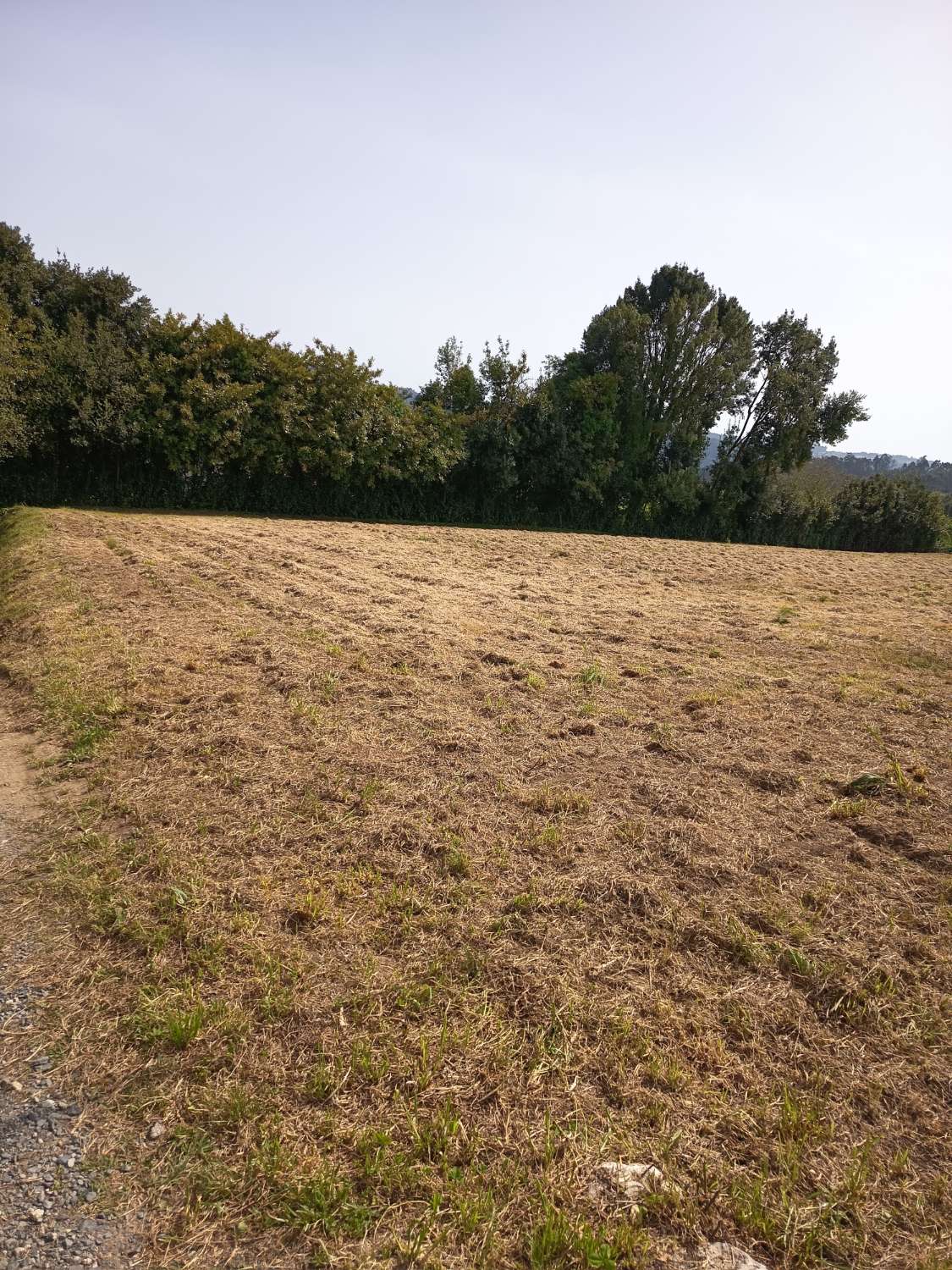 Myymme yksinomaan kaupunkimaata.