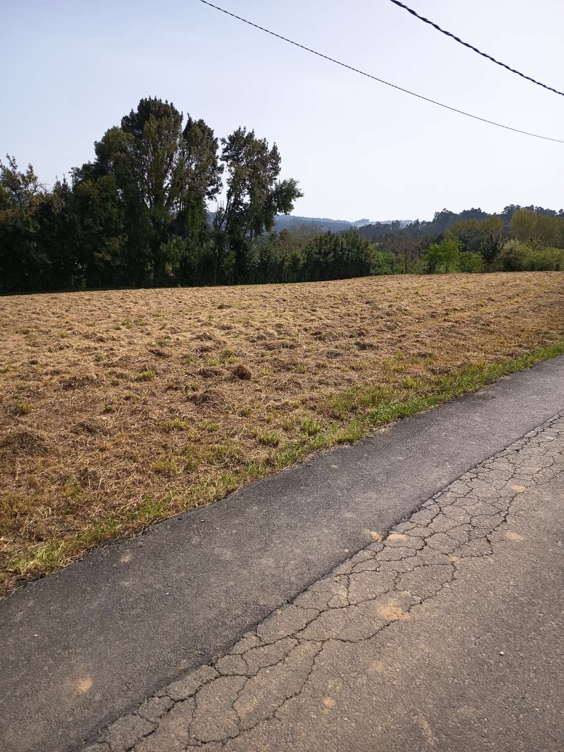 Myymme yksinomaan kaupunkimaata.