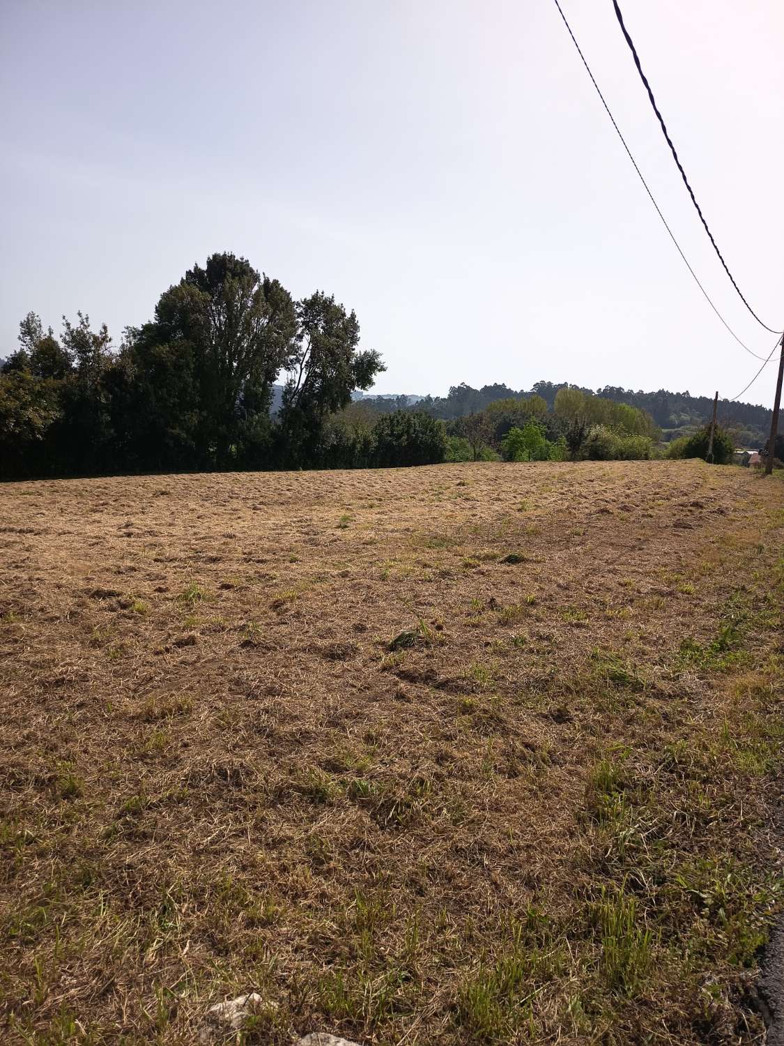 Myymme yksinomaan kaupunkimaata.