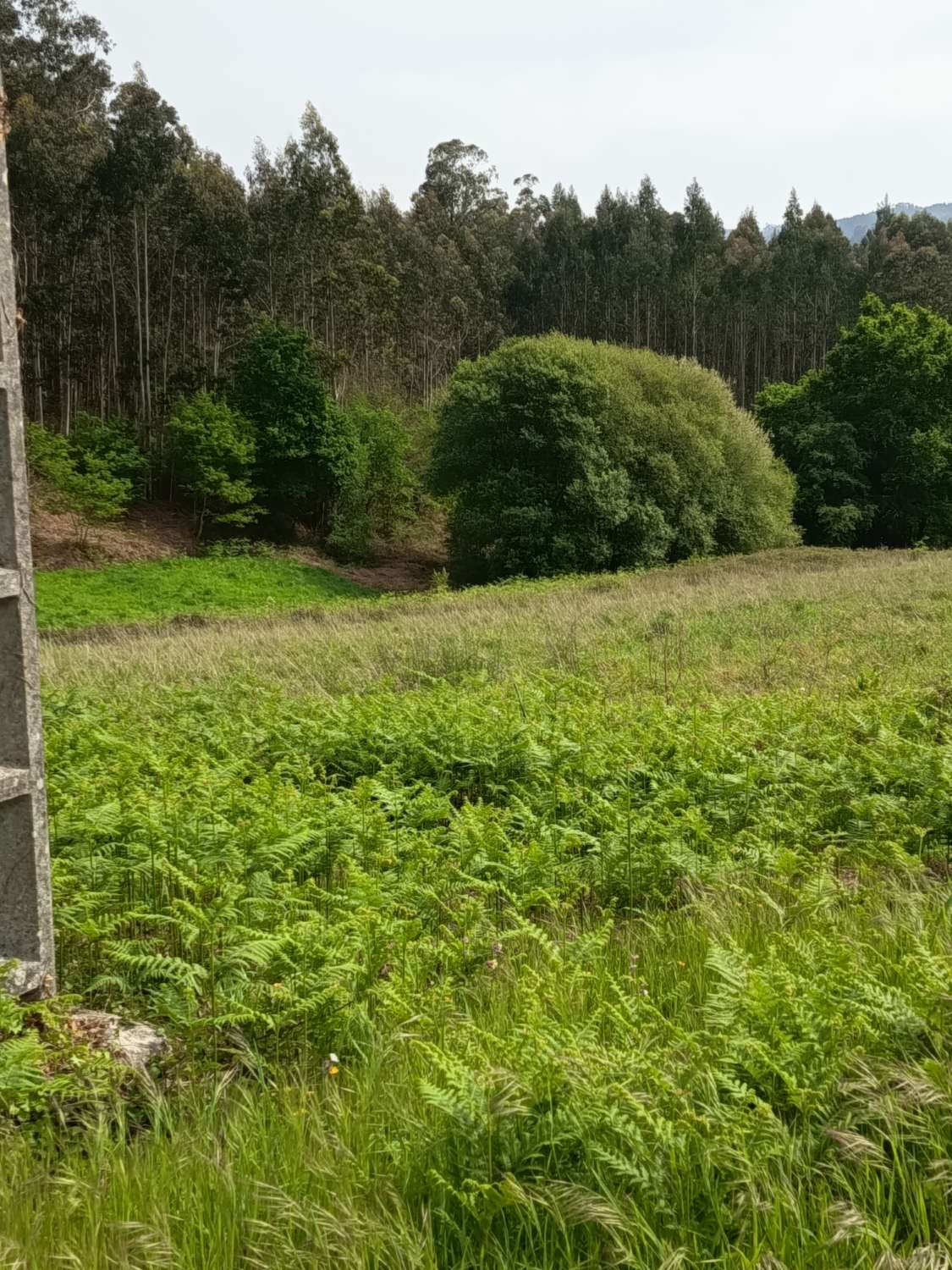 Solar urbanizable en Escañoi - Irixoa