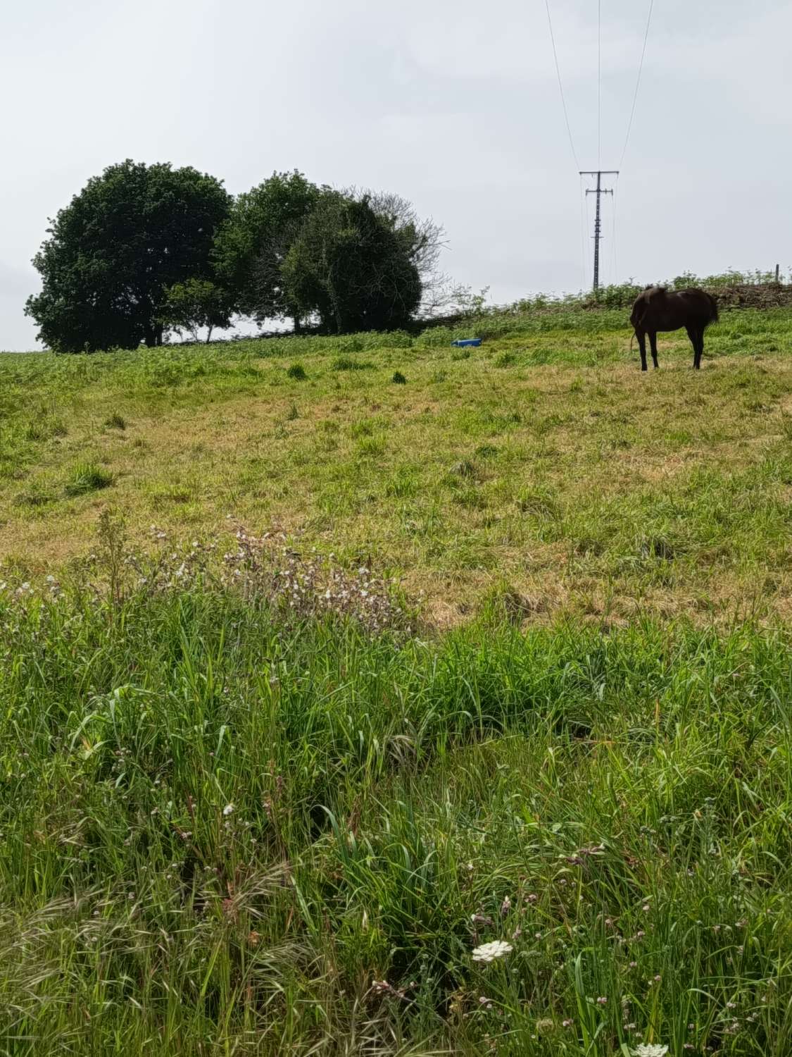 Solar urbanizable en Escañoi - Irixoa