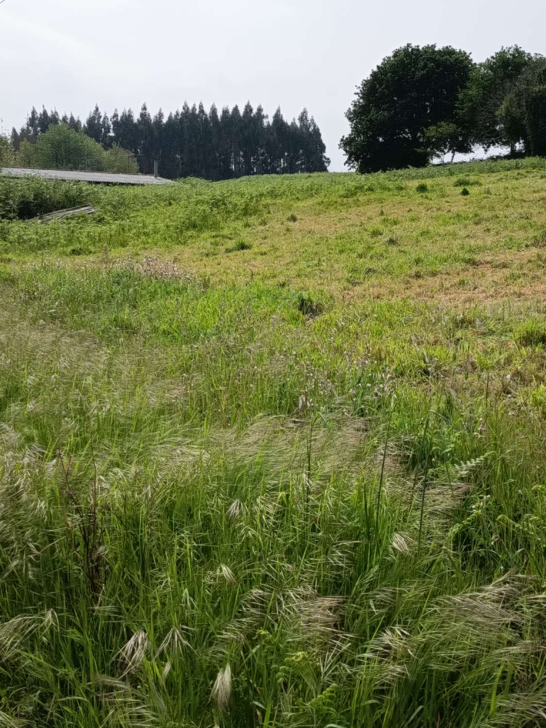 Solar urbanizable en Escañoi - Irixoa