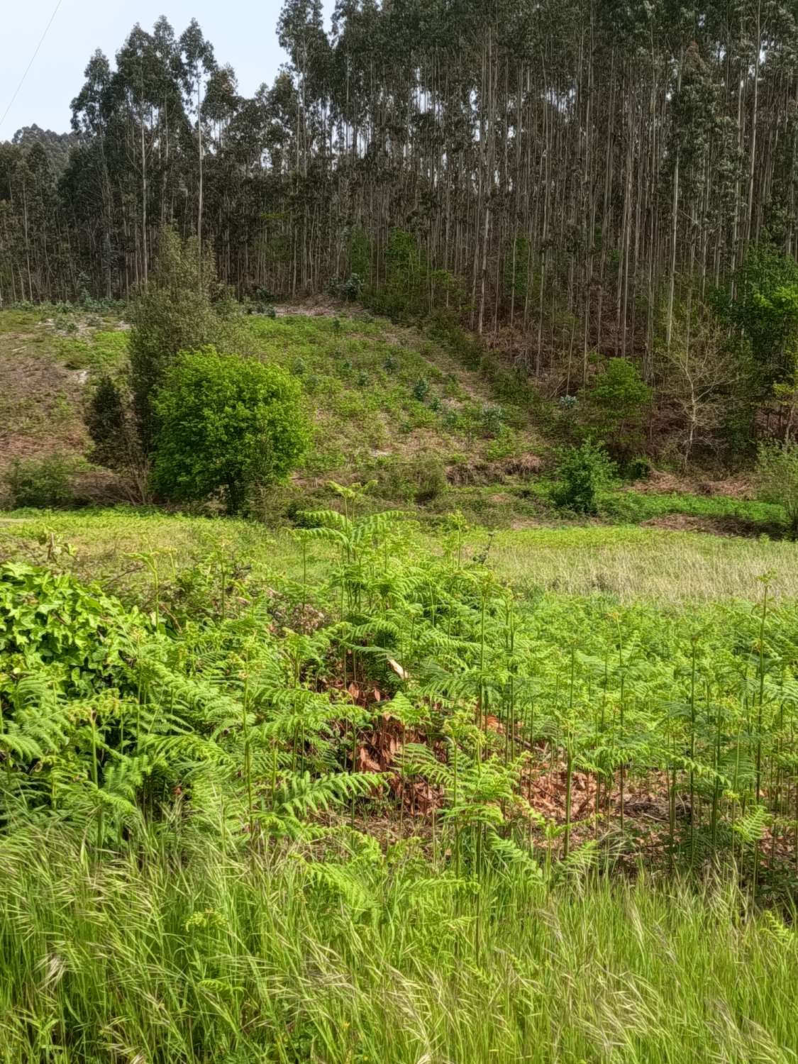 Solar urbanizable en Escañoi - Irixoa
