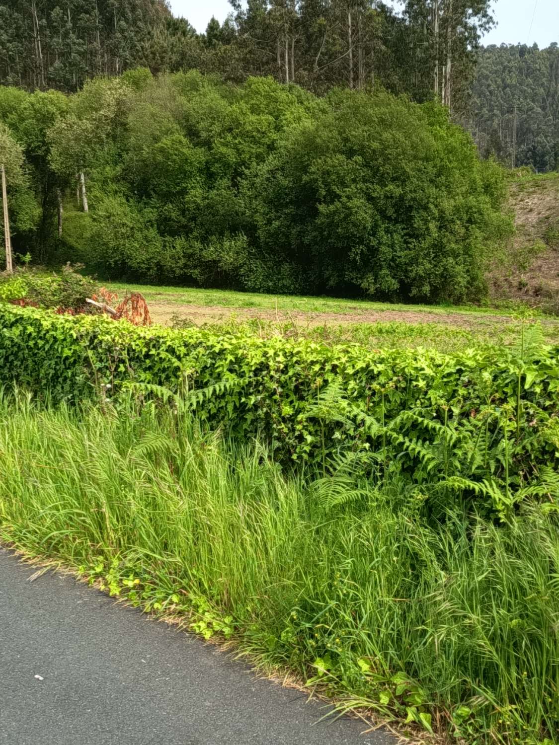 Solar urbanizable en Escañoi - Irixoa