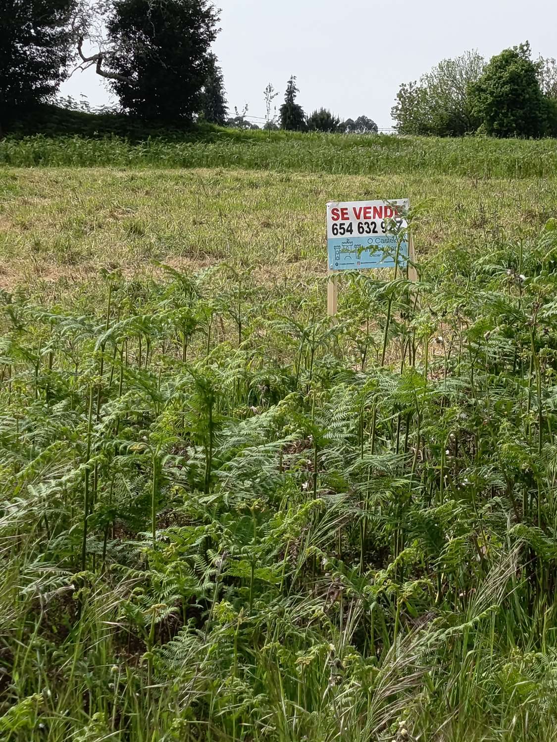 Solar urbanizable en Escañoi - Irixoa