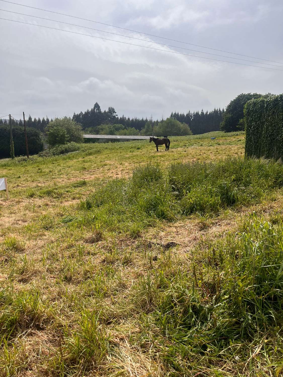Solar urbanizable en Escañoi - Irixoa