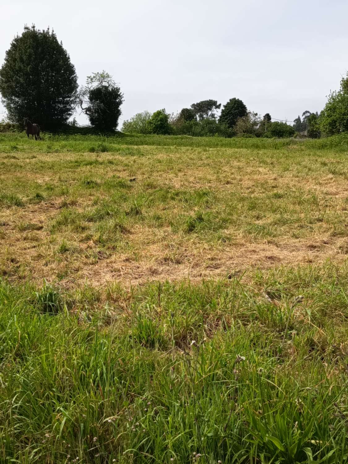 Solar urbanizable en Escañoi - Irixoa