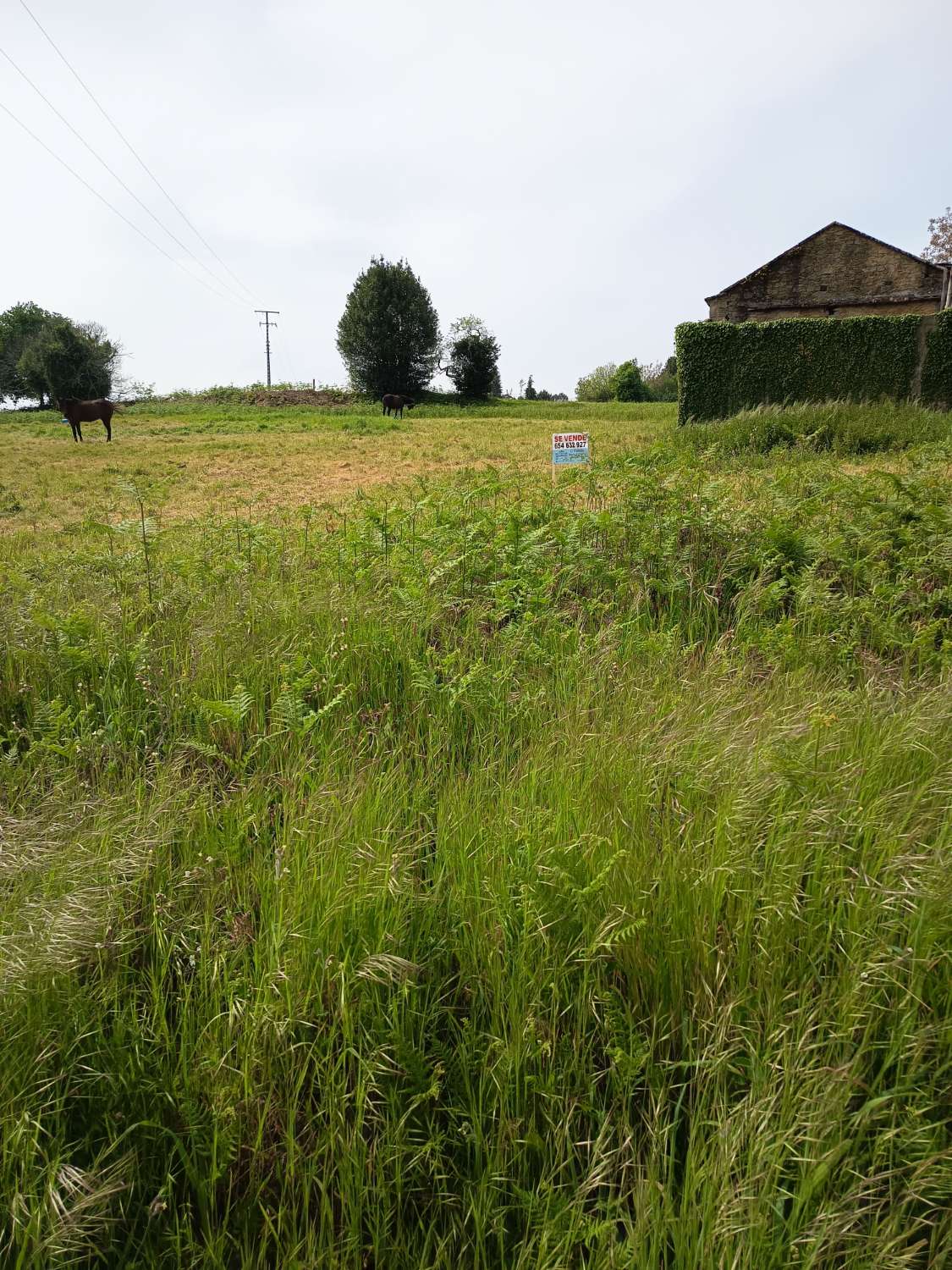 Solar urbanizable en Escañoi - Irixoa