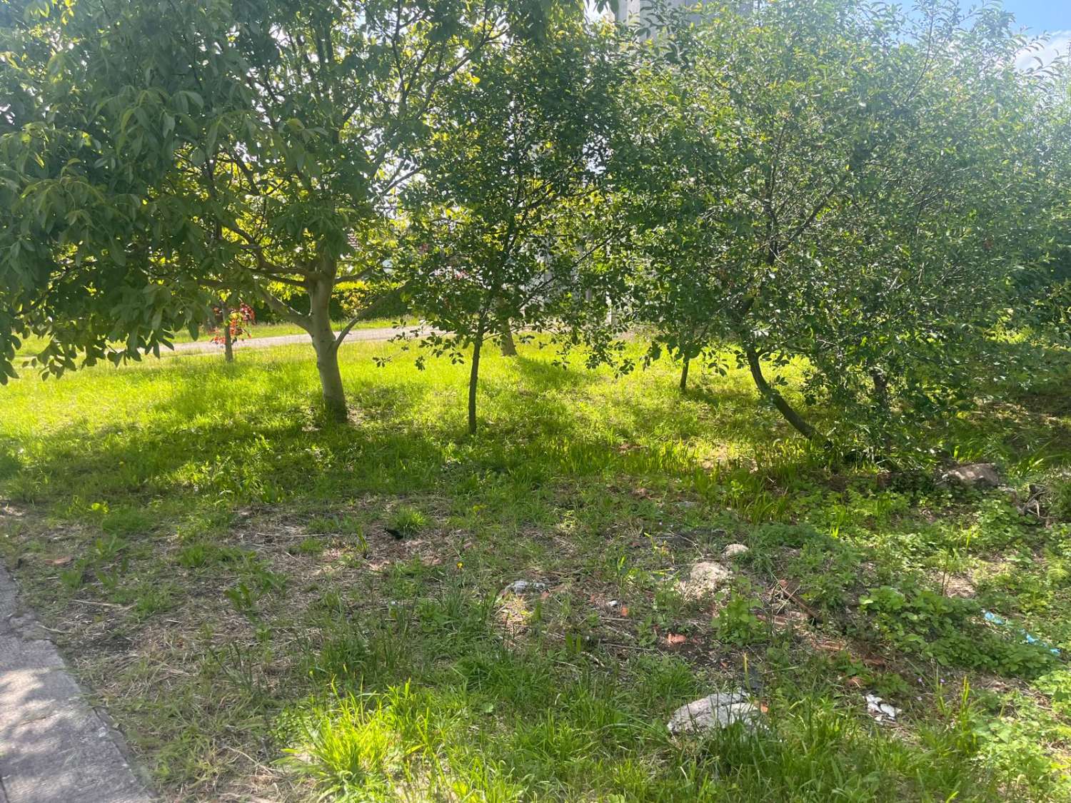Etxebizitza salgai in Fene