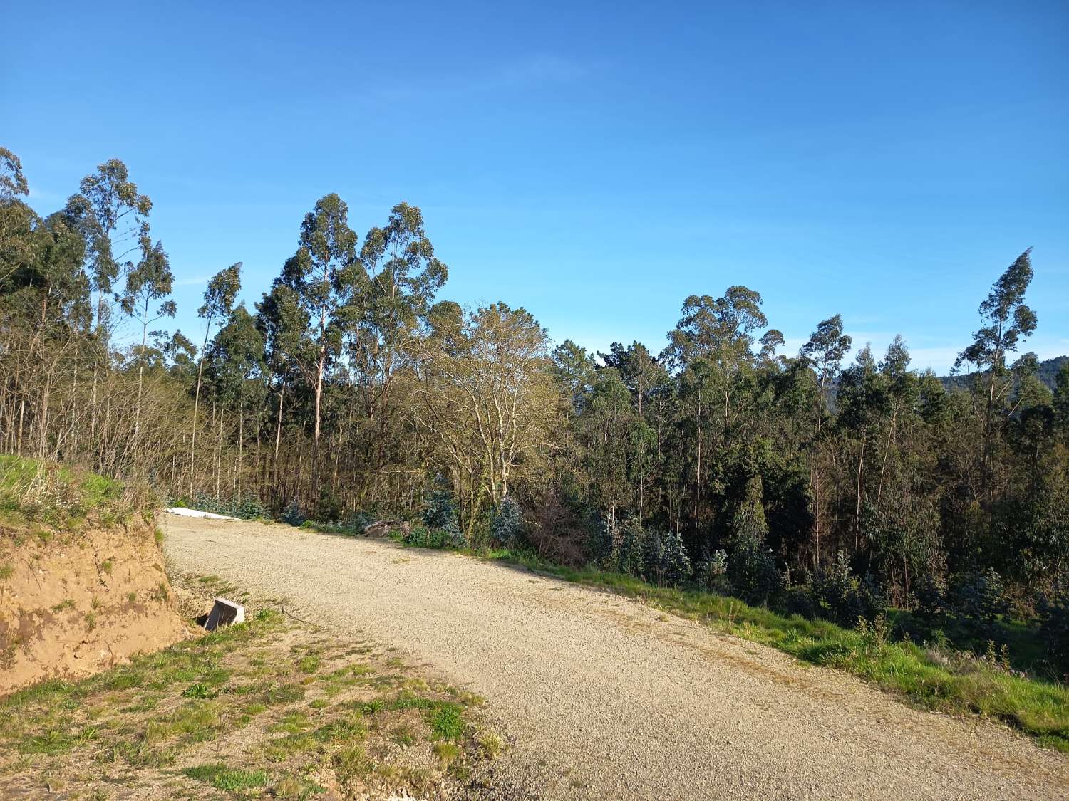 Vendemos solar urbano en Callobre, Miño.
