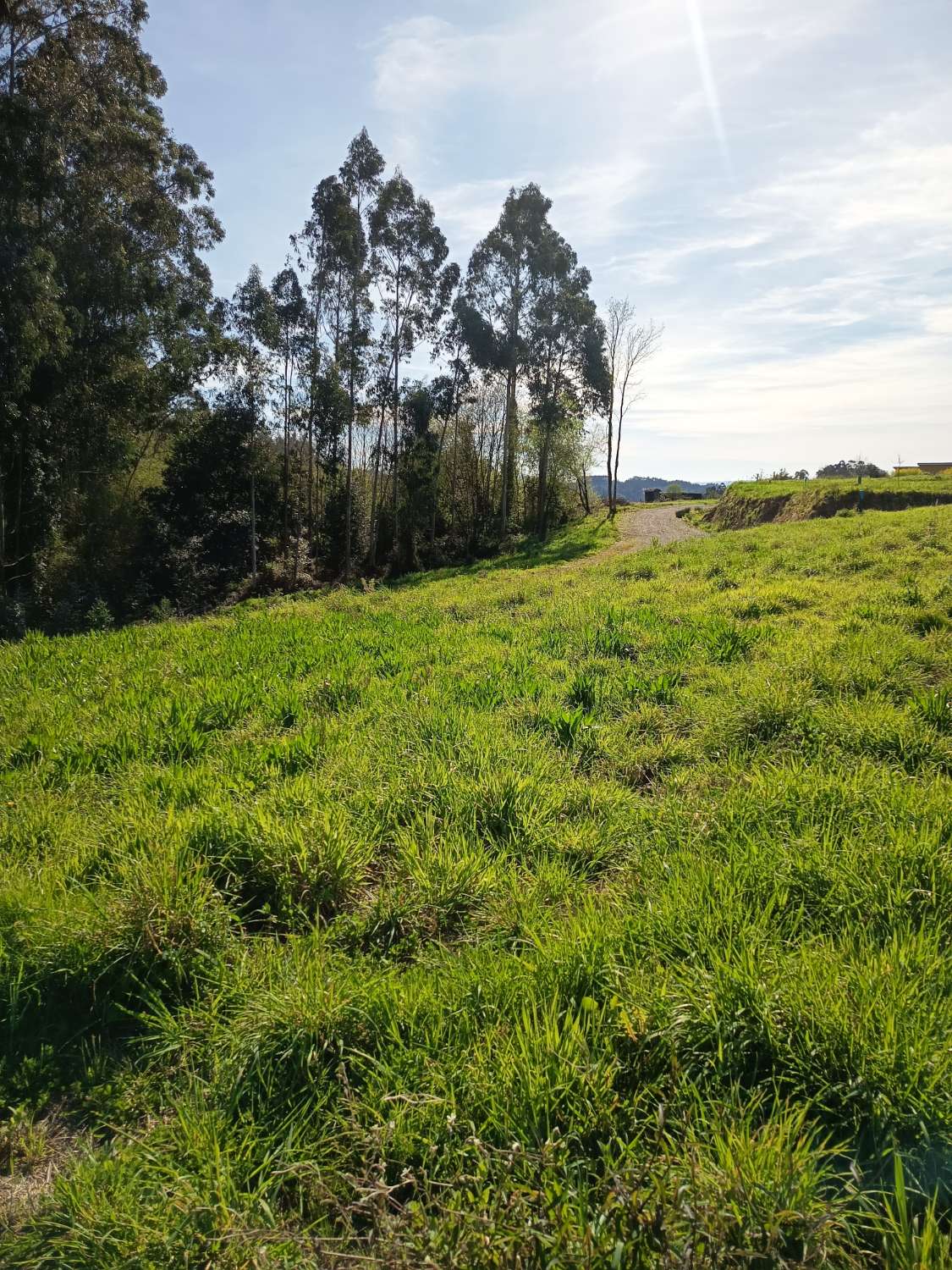 Vendemos solar urbano en Callobre, Miño.