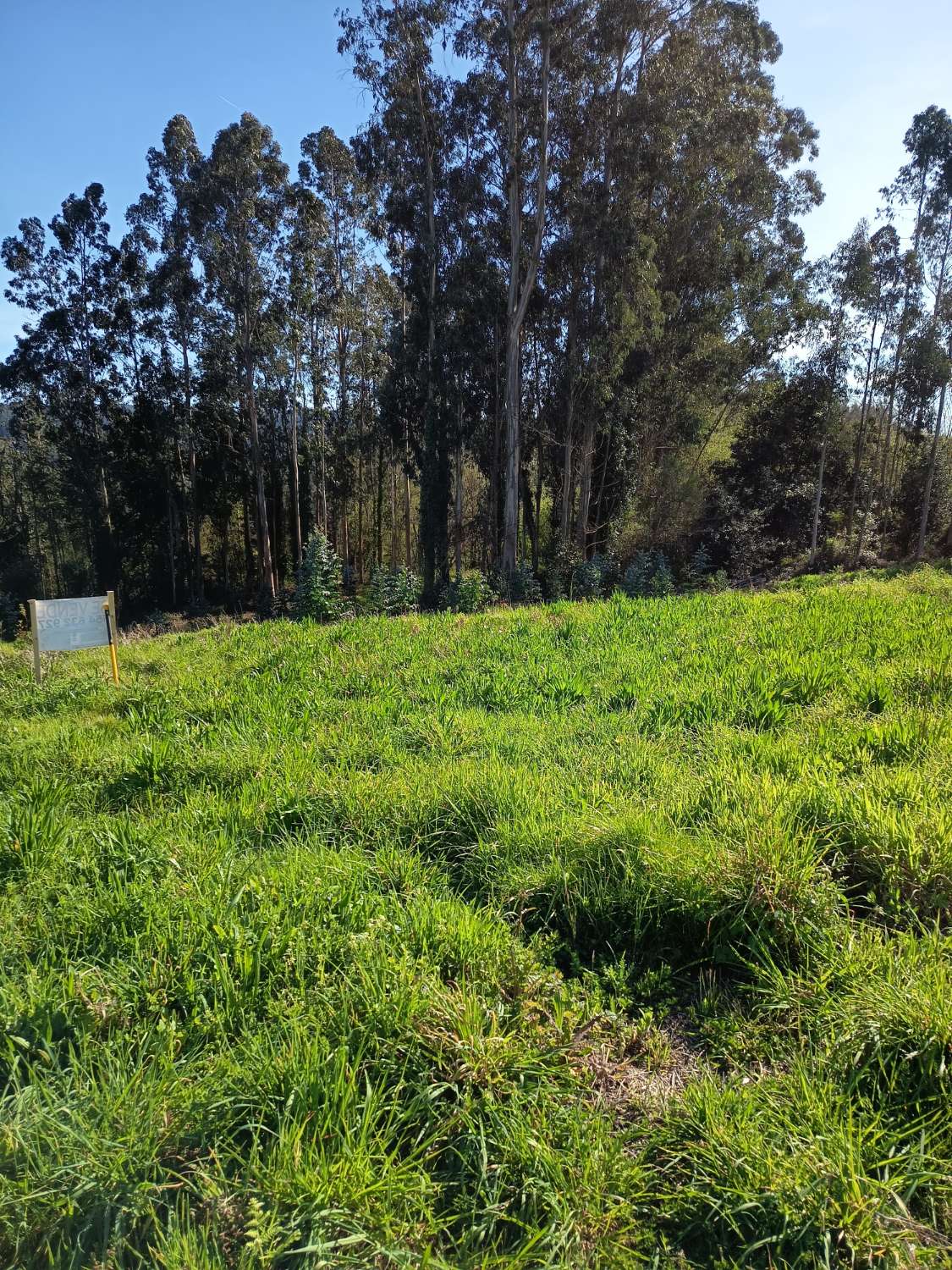 Vendemos solar urbano en Callobre, Miño.