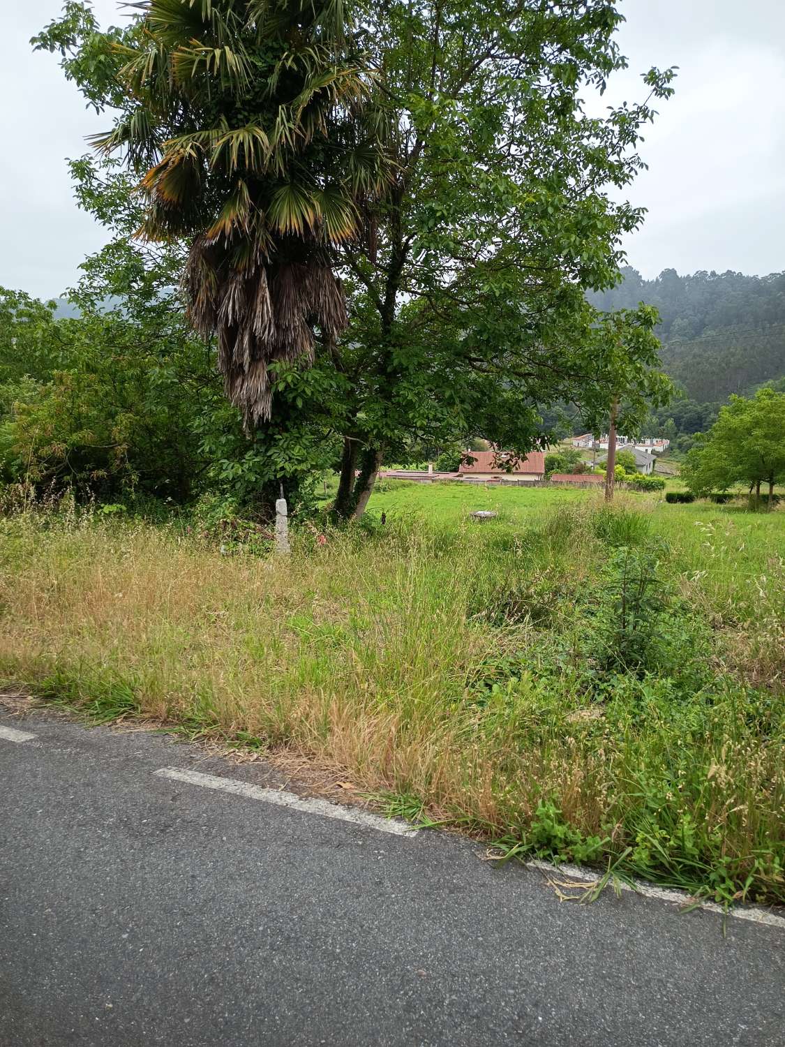 Vendiamo esclusivamente terreni urbani a Miño.