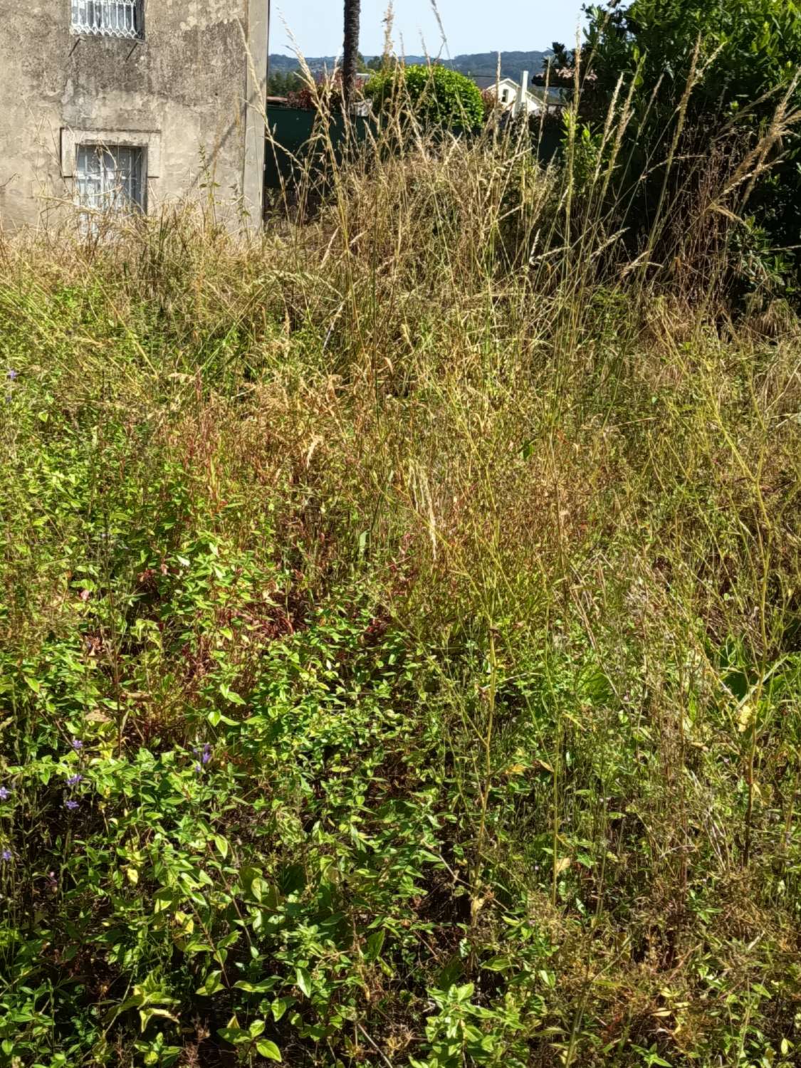Casa in vendita a Paderne